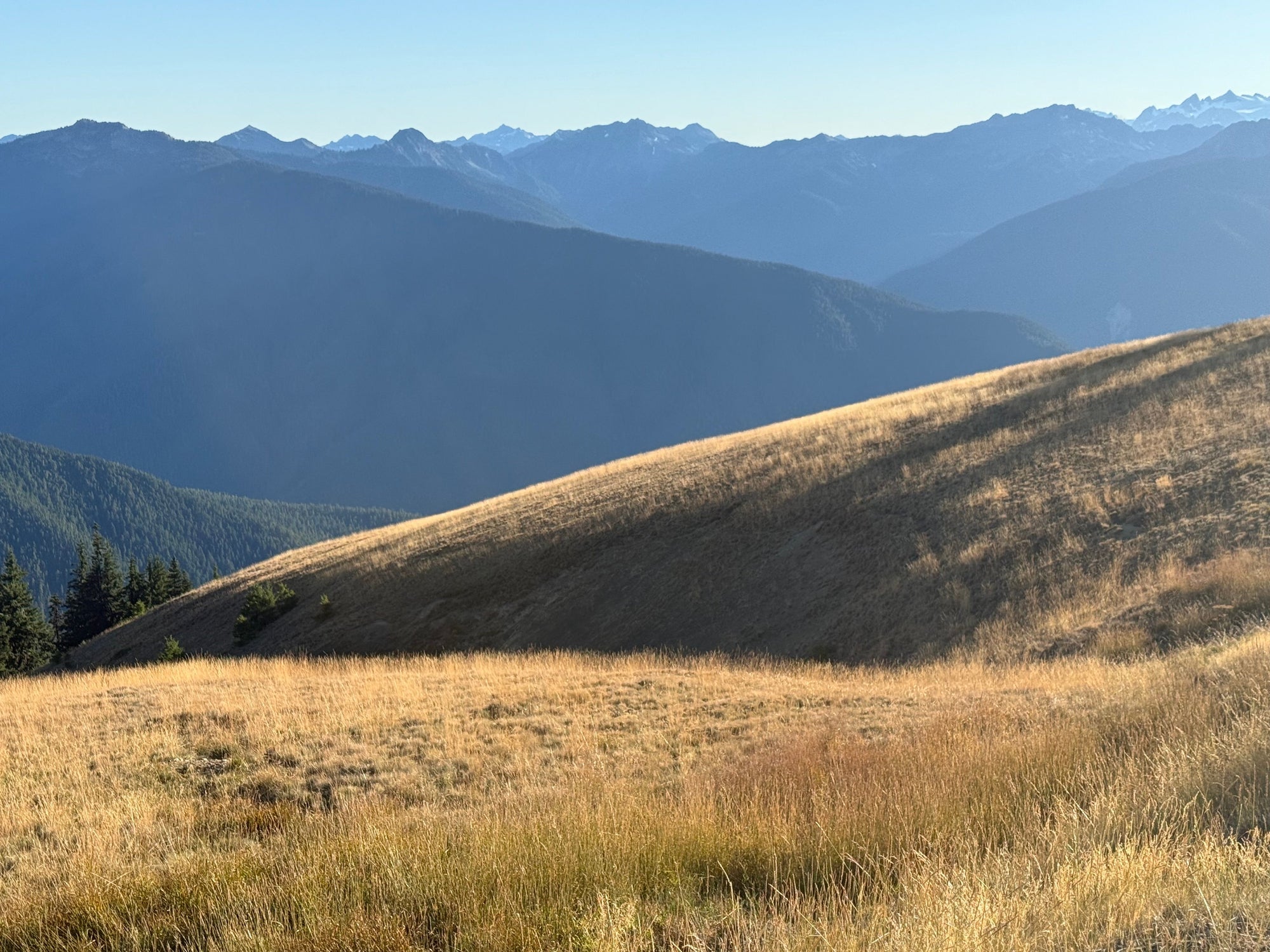 Travel Notes: Washington • Part I (Olympic National Park)