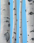 Patches of Blue Sky